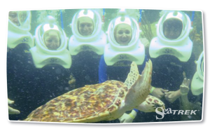 helmet diving sea turtle