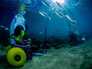 accessible helmet diving