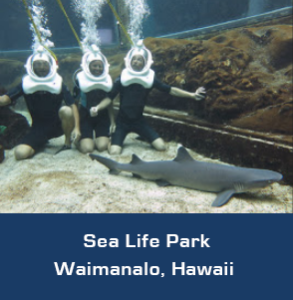 Sea TREK Hawaii