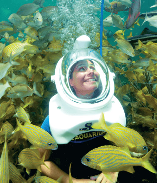 Sea Trek Helmet Diving A Guided Underwater Walking Tour